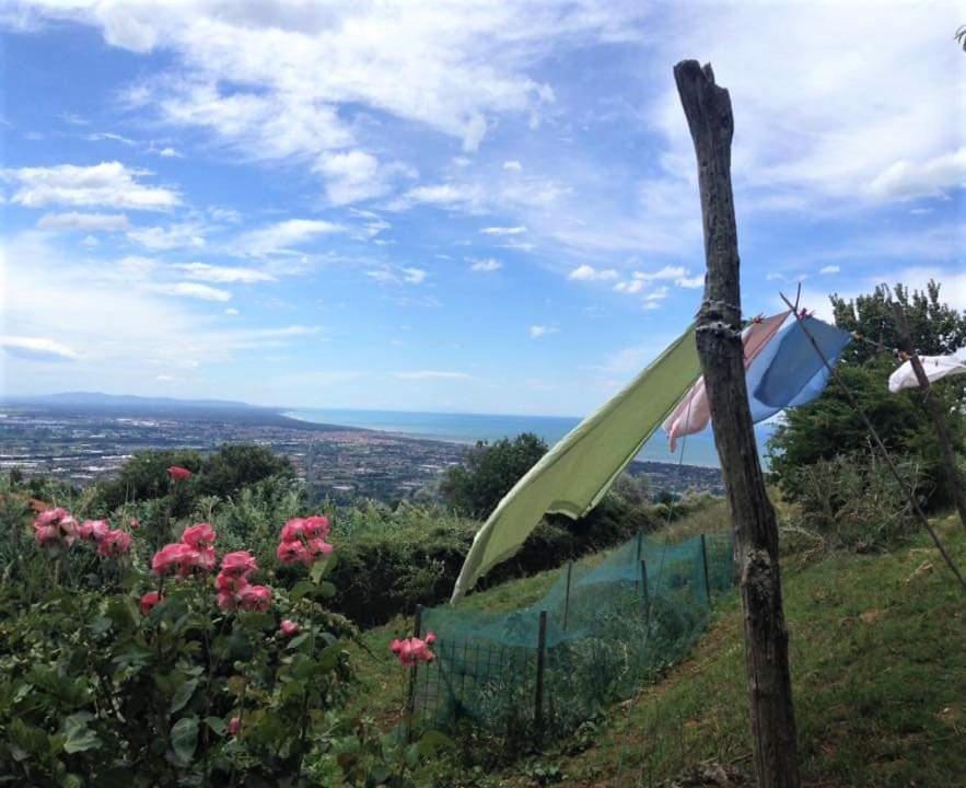 Bed & Breakfast Villa Masini-Luccetti Pietrasanta Ngoại thất bức ảnh